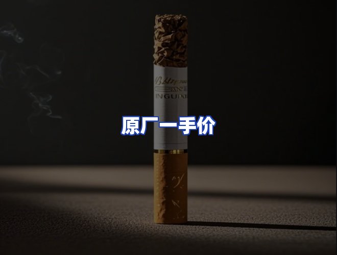 专业团队